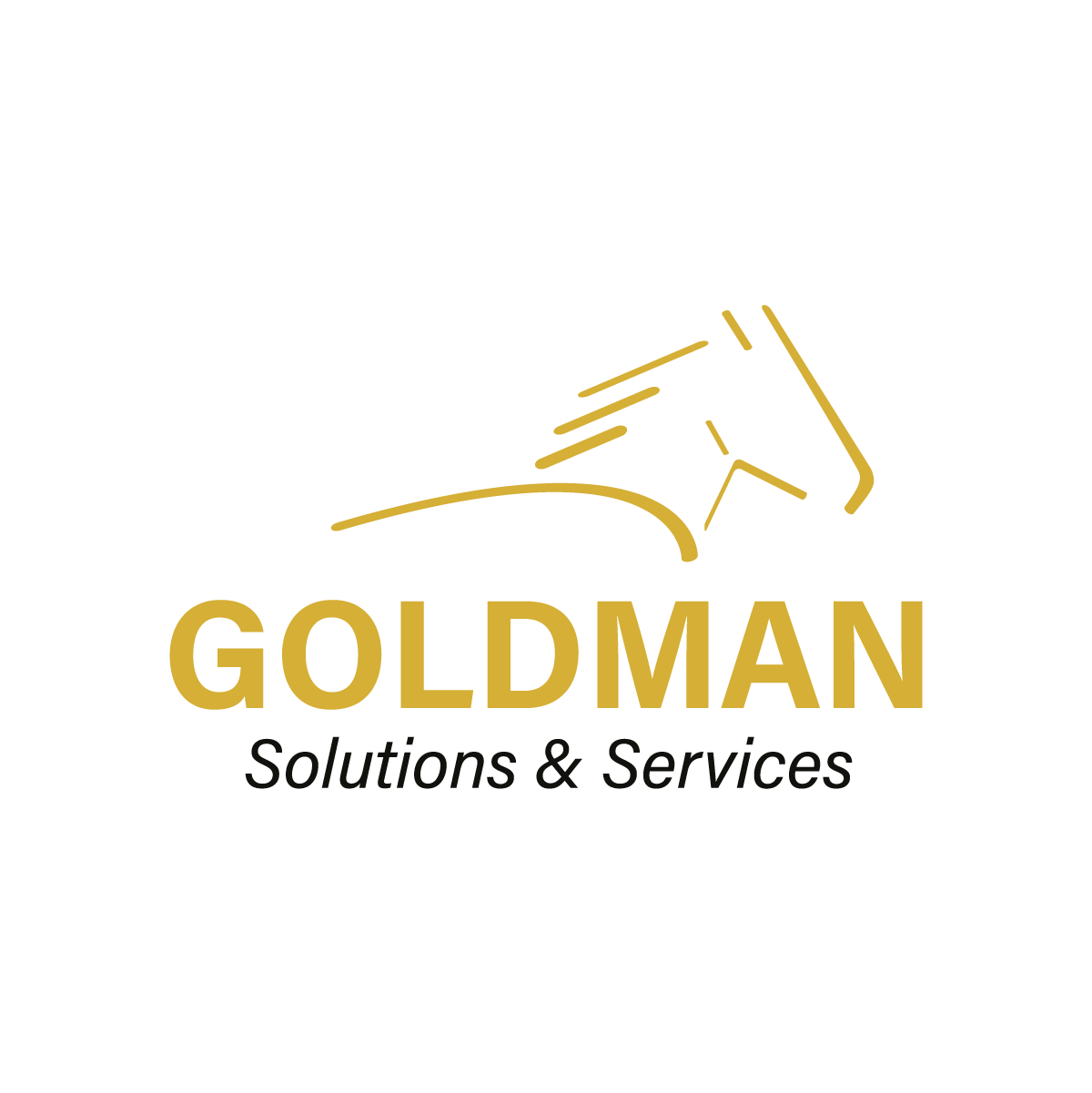 Goldman Solutions & Services